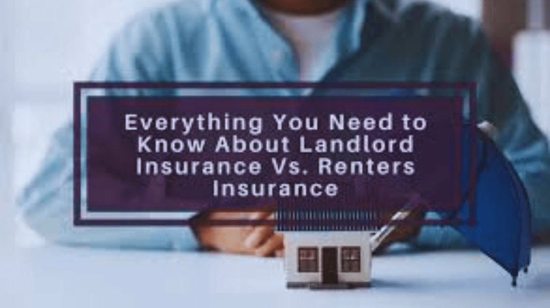 Renters Insurance Quotes: Everything You Need to Know