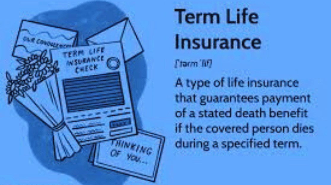 A Comprehensive Guide to Term Life Insurance Quotes: Everything You Need to Know